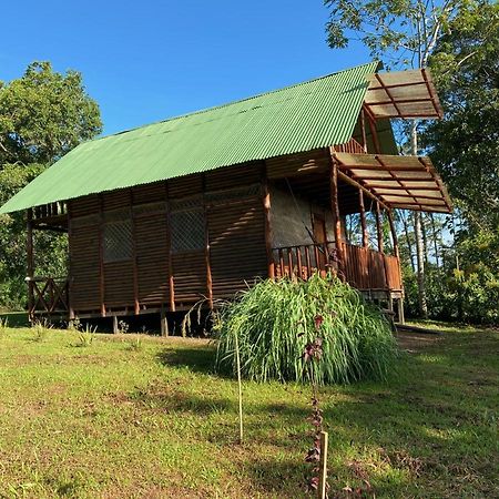 Eco Guest House- Sarapiquí 2 Exteriér fotografie